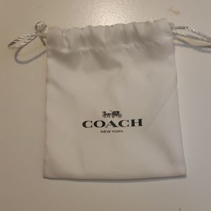 Coach Small Accessory Bag